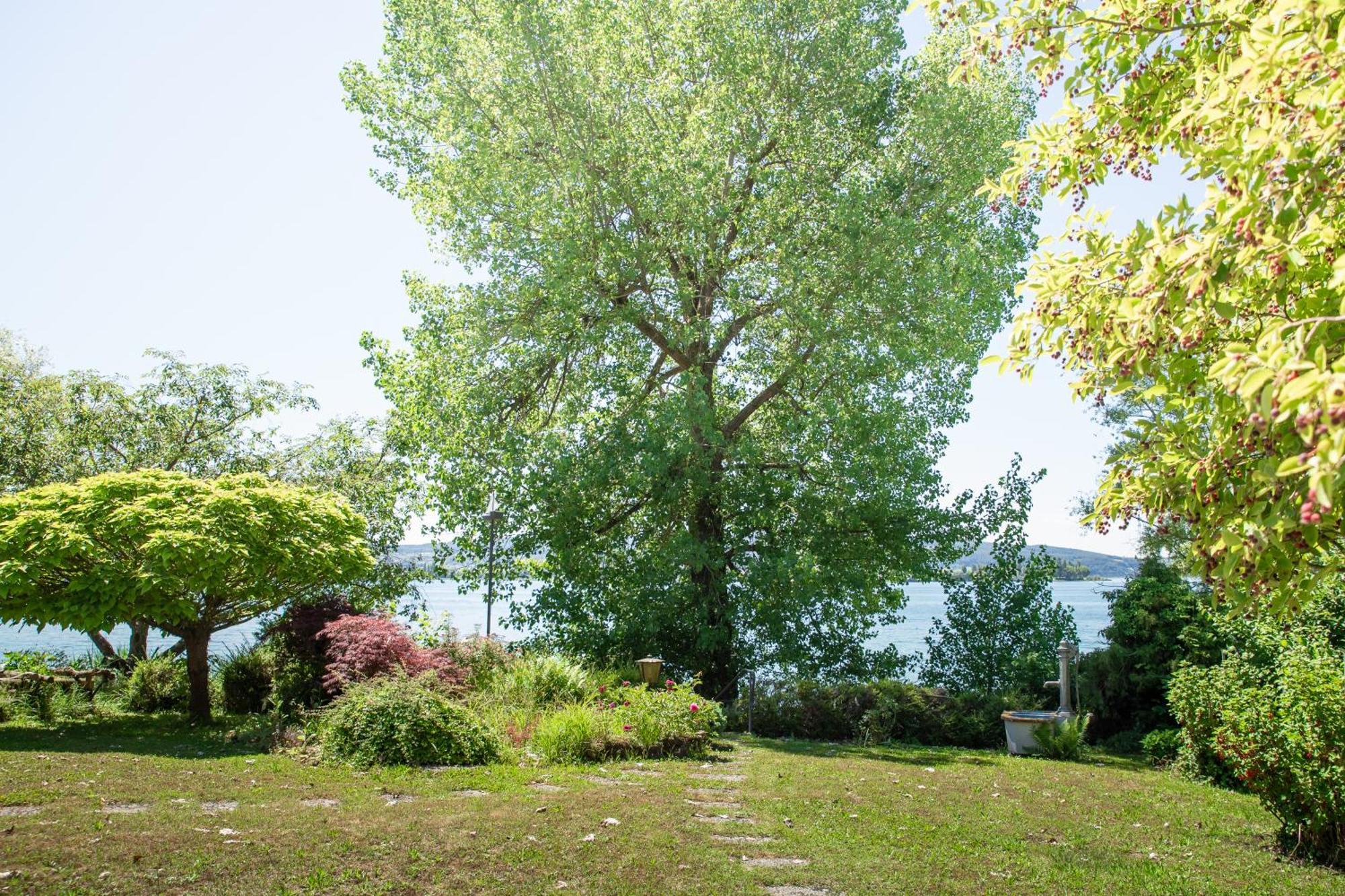 Lakeside Apartment - Seeufer Apartment Allensbach Εξωτερικό φωτογραφία